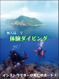体験ダイビングは無人島「鹿島」で。写真上部には、無人島の景色を空撮、下には海中の素敵な風景